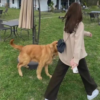 尚岷与丁尼奥